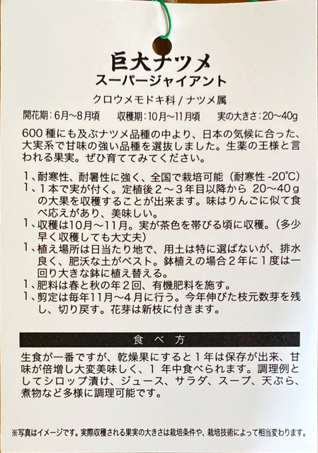 6F7E6575-DB4A-4CFC-9FD3-BA1AAF6CBA56.jpg